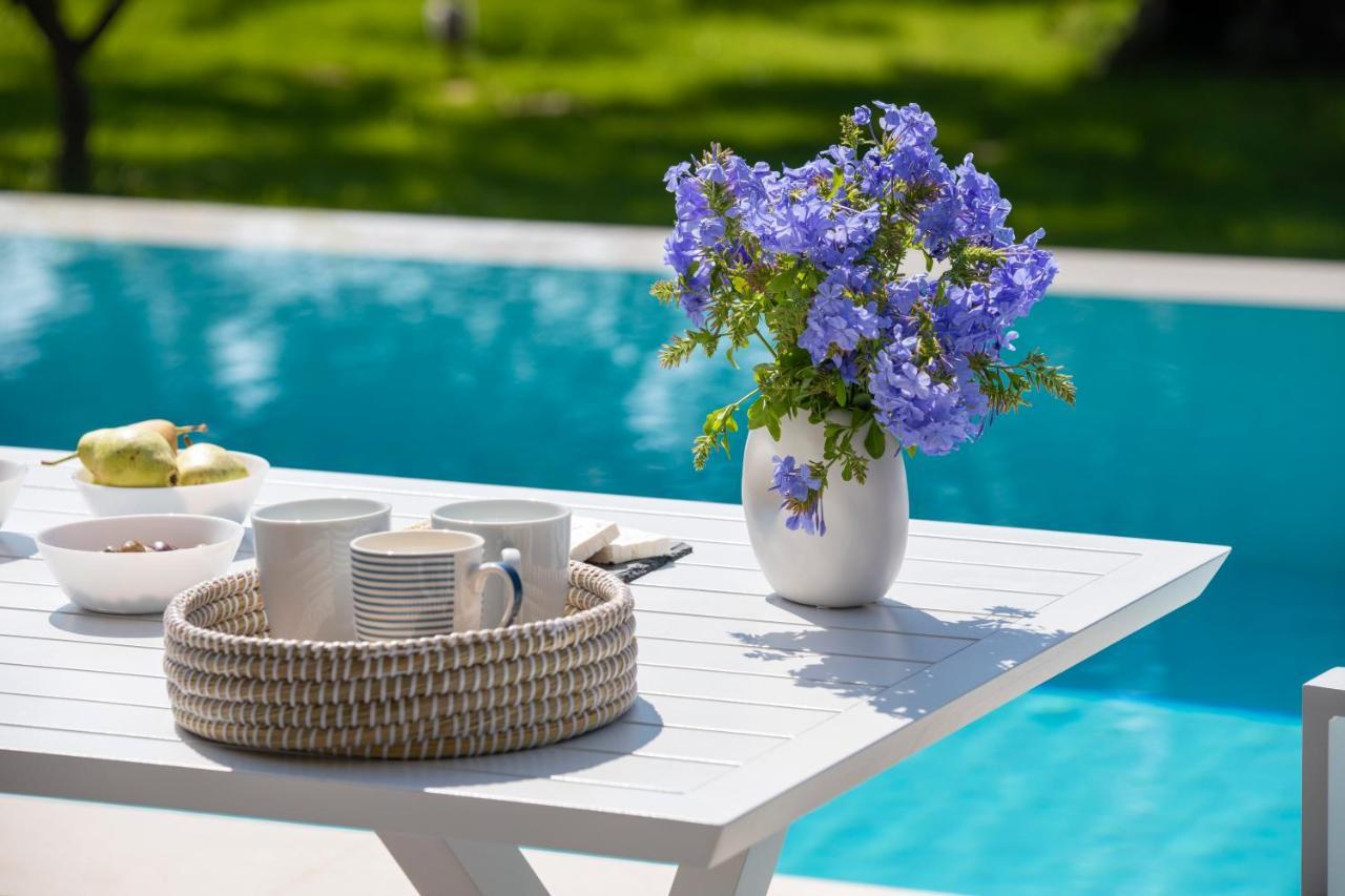 Averto Villas With Private Pool Nydri  Dış mekan fotoğraf
